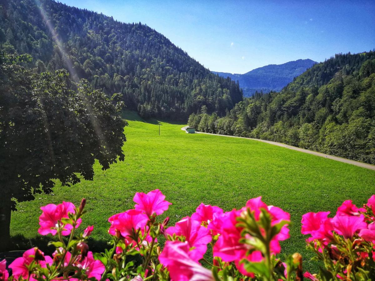 Gwercherwirt Brandenberg Екстериор снимка